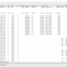 fhalcon<sup>®</sup> import track and trace: Verbleib eines Wareneingangs