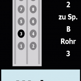 fhalcon<sup>®</sup> export field organisation: Spureinfahrt